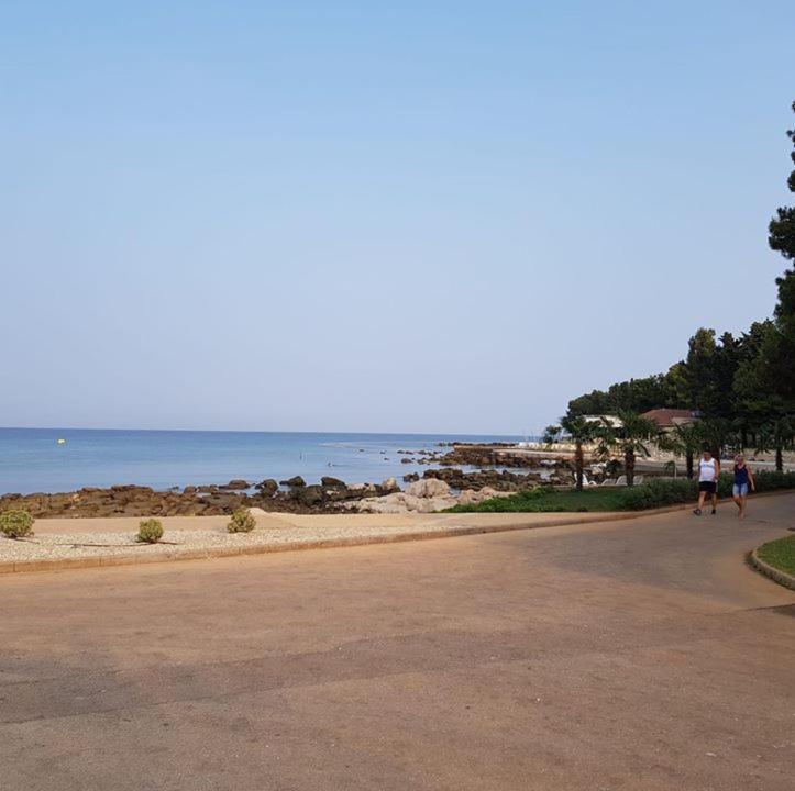 Zino Umag